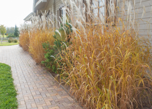 finished paver walkway project